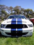 Ford Shelby Mustang Stripe Kit Install